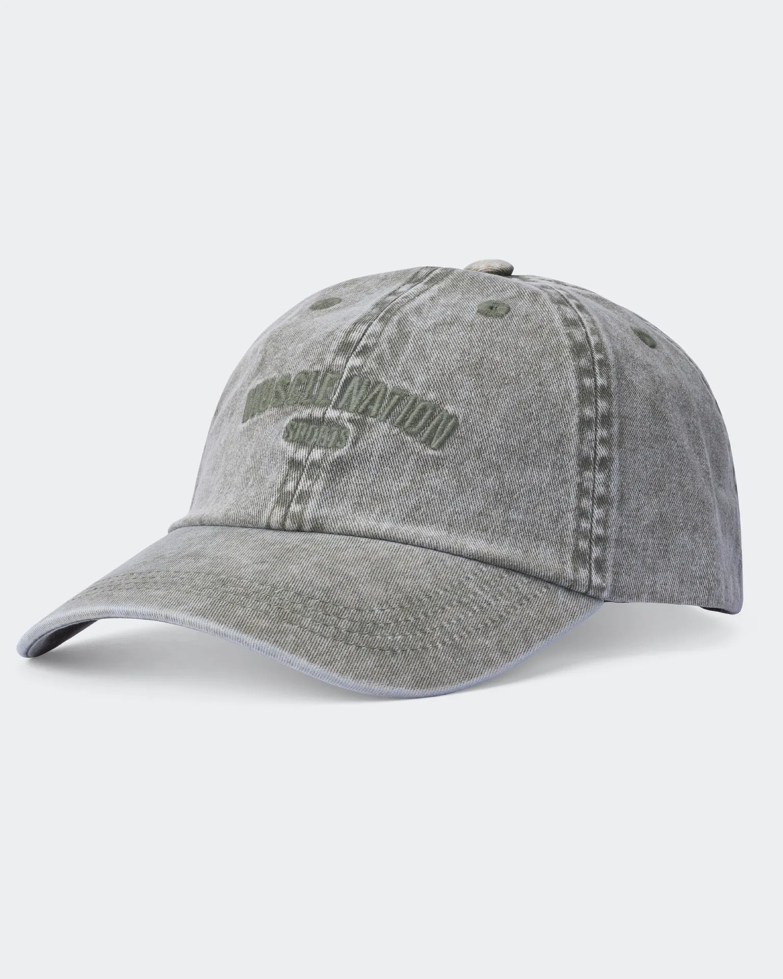 Distressed Dad Cap